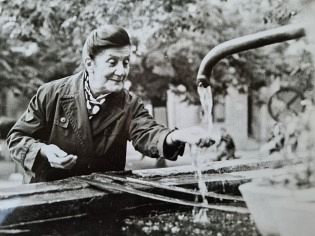 О ДЕСАНКИ МАКСИМОВИЋ, И НАОКОЛО