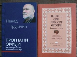 Награда "Сава Мркаљ" Ненаду Грујичићу