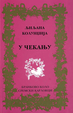 Љиљана Колунџија: У чекању (2011)
